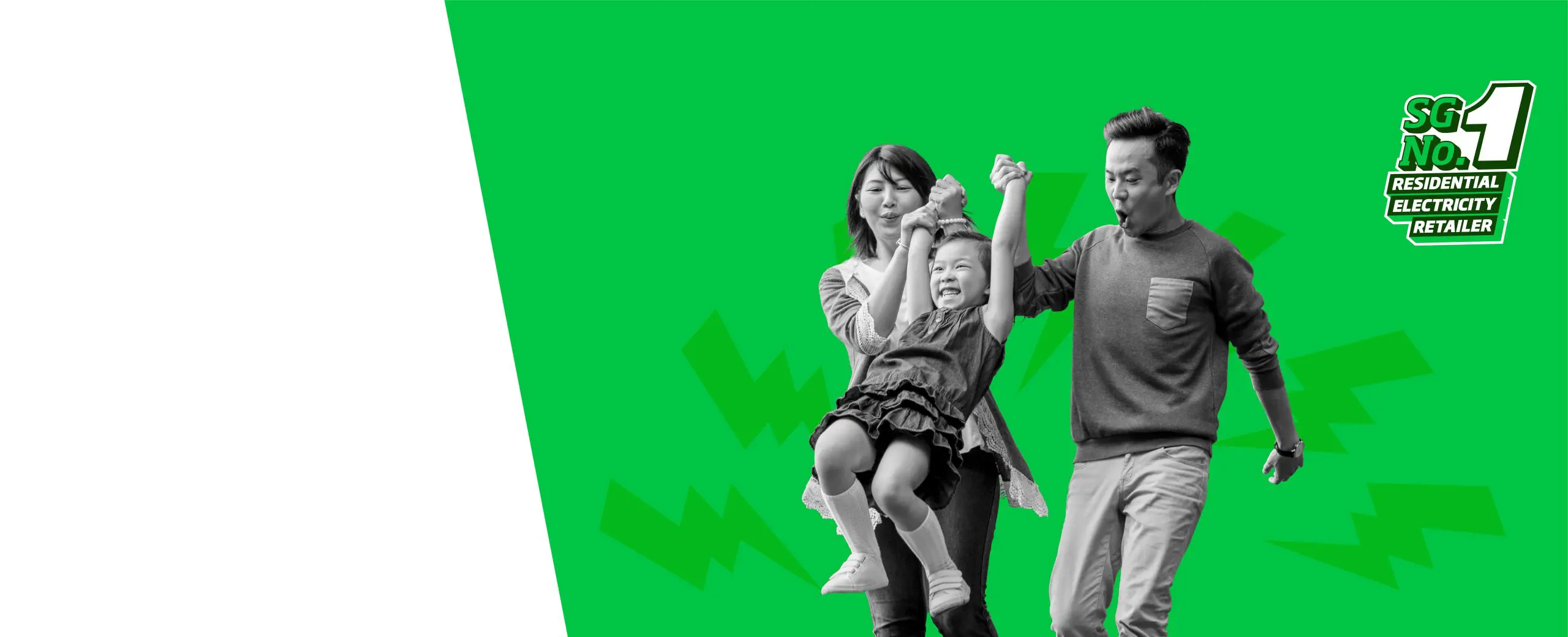 Power Eco header banner
