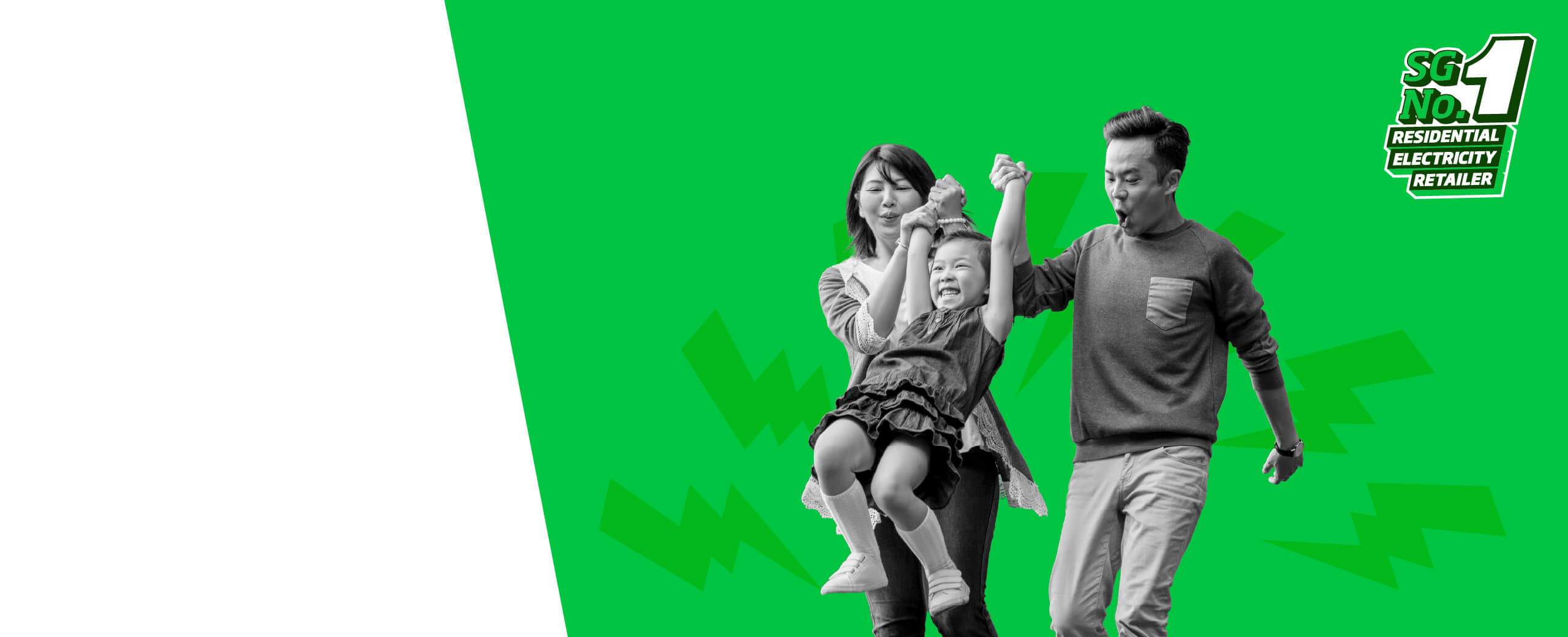 Power Eco header banner