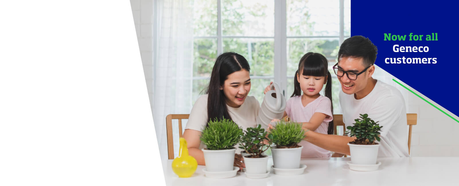 Power Eco header banner